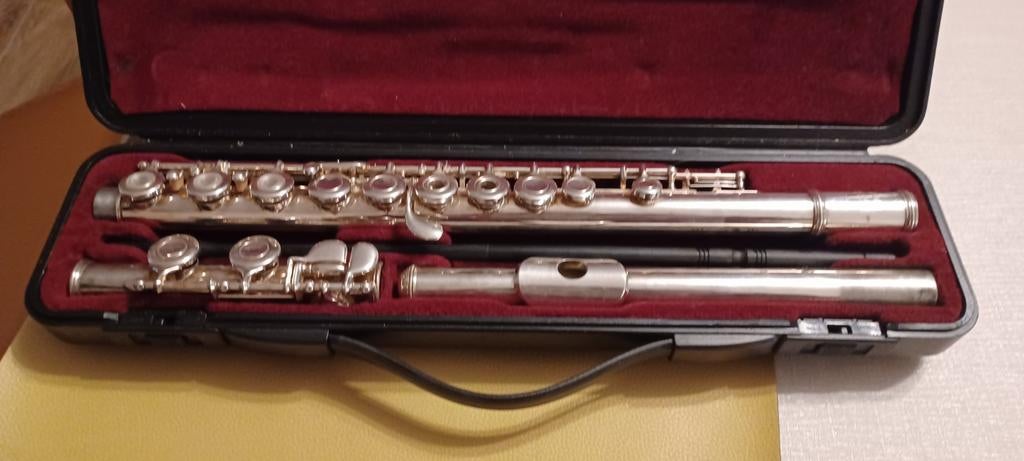 Dwarsfluit, Musique & Instruments, Enlèvement, Flûte traversière