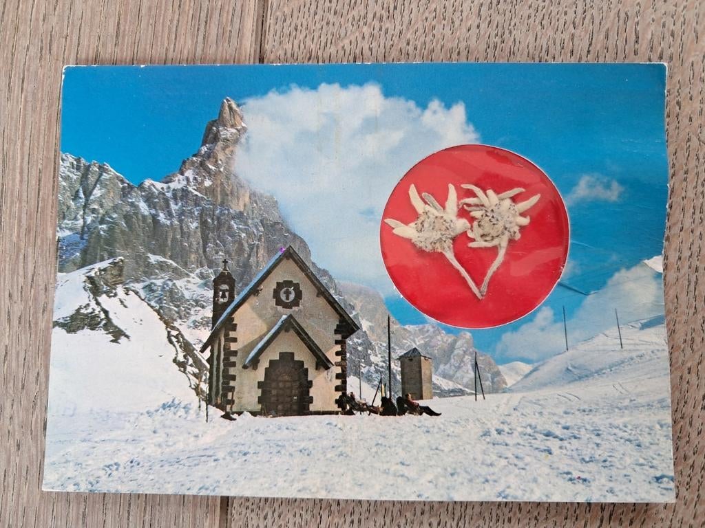 Beschreven postkaart met gedroogde Edelweiss, 1974, Dolomiet, Ophalen of Verzenden