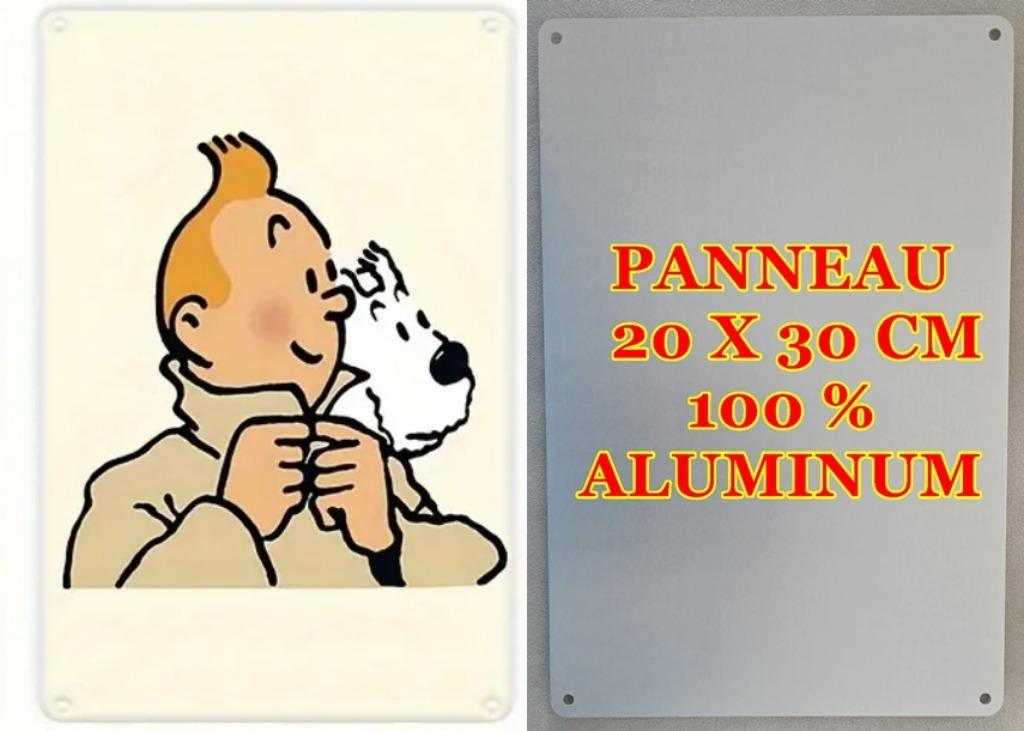 TINTIN REPORTER, Envoi, Tintin