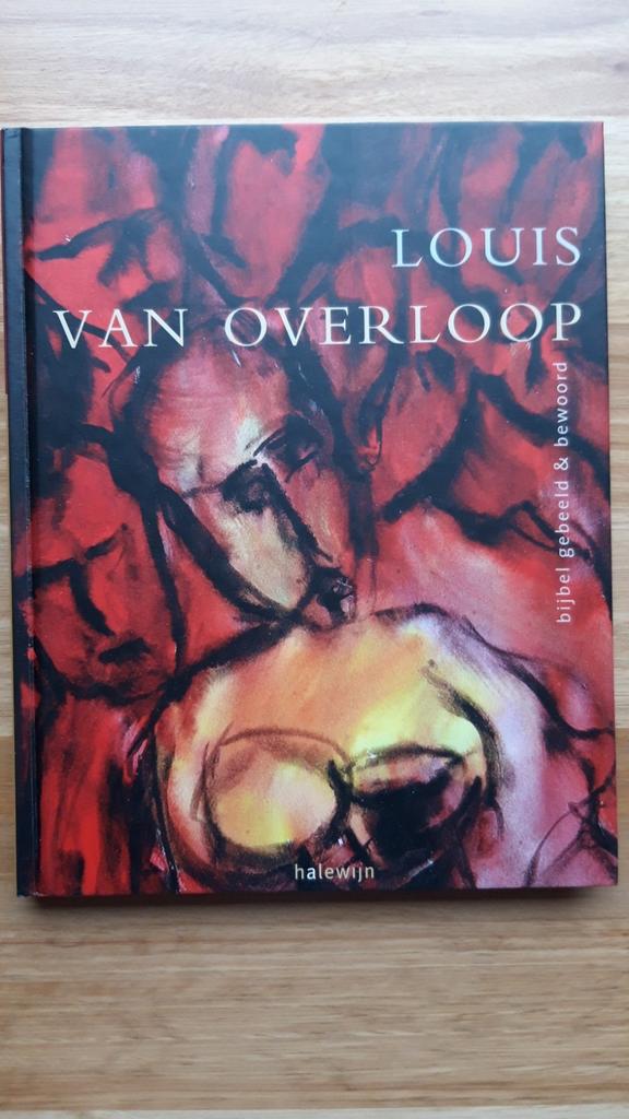 Louis Van Overloop 1926-2004 - Monografie, Peinture et dessin, Enlèvement ou Envoi, K. De Wolf, Comme neuf