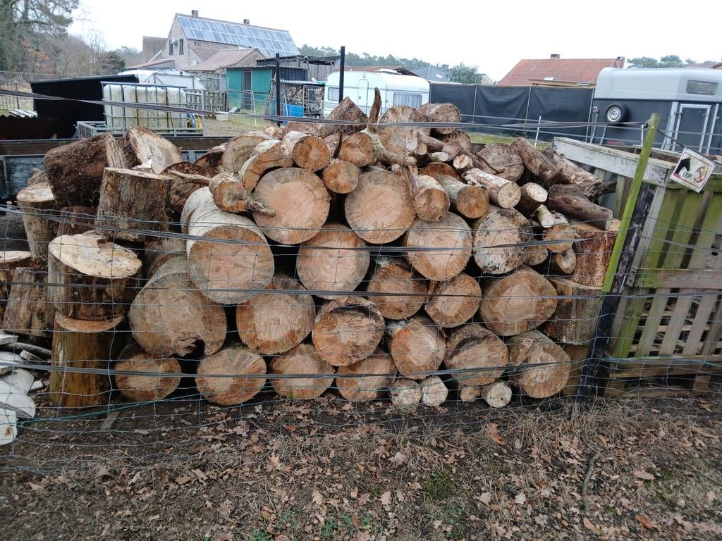 3 Populieren en 1 denne boom, 6 m³ ou plus, Enlèvement, Autres essences de bois, Bûches