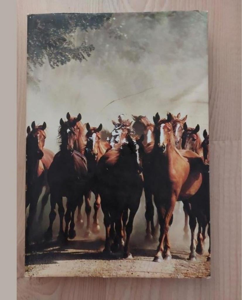 Onze paarden, Boeken, Dieren en Huisdieren, Ophalen of Verzenden, Zo goed als nieuw