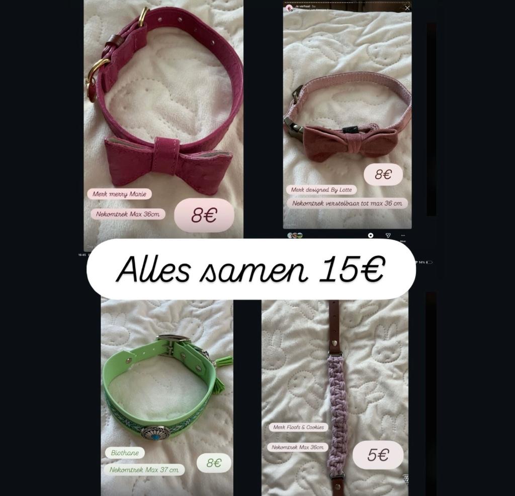 4 mooie halsbanden voor hond samen 15€, Ophalen of Verzenden, Zo goed als nieuw