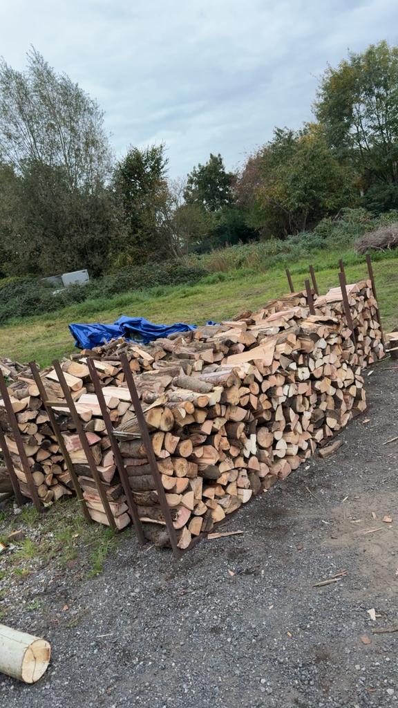 Bois de chauffage sec 3ans, Enlèvement ou Envoi, Hêtre