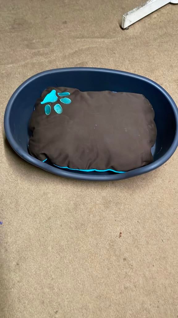 Hondenmand met kussen 50 cm, Ophalen, Gebruikt