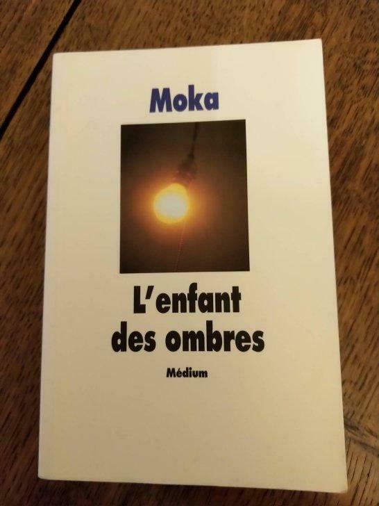 L'enfant des ombres, Livres, Romans, Neuf