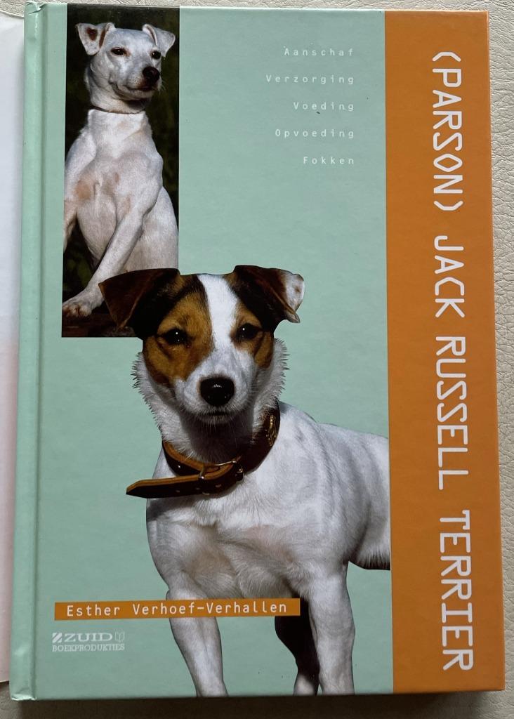 Jack Russell Terrier, Ophalen of Verzenden