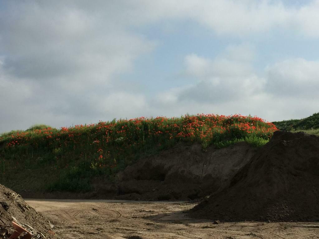 Aanvulgrond, Tuin en Terras, Zand, Ophalen of Verzenden, Zo goed als nieuw