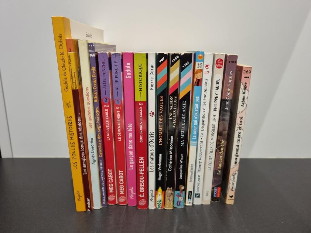Lot de livres de  livres  pour enfants à partir de 10 ans, Enlèvement, Utilisé, Fiction