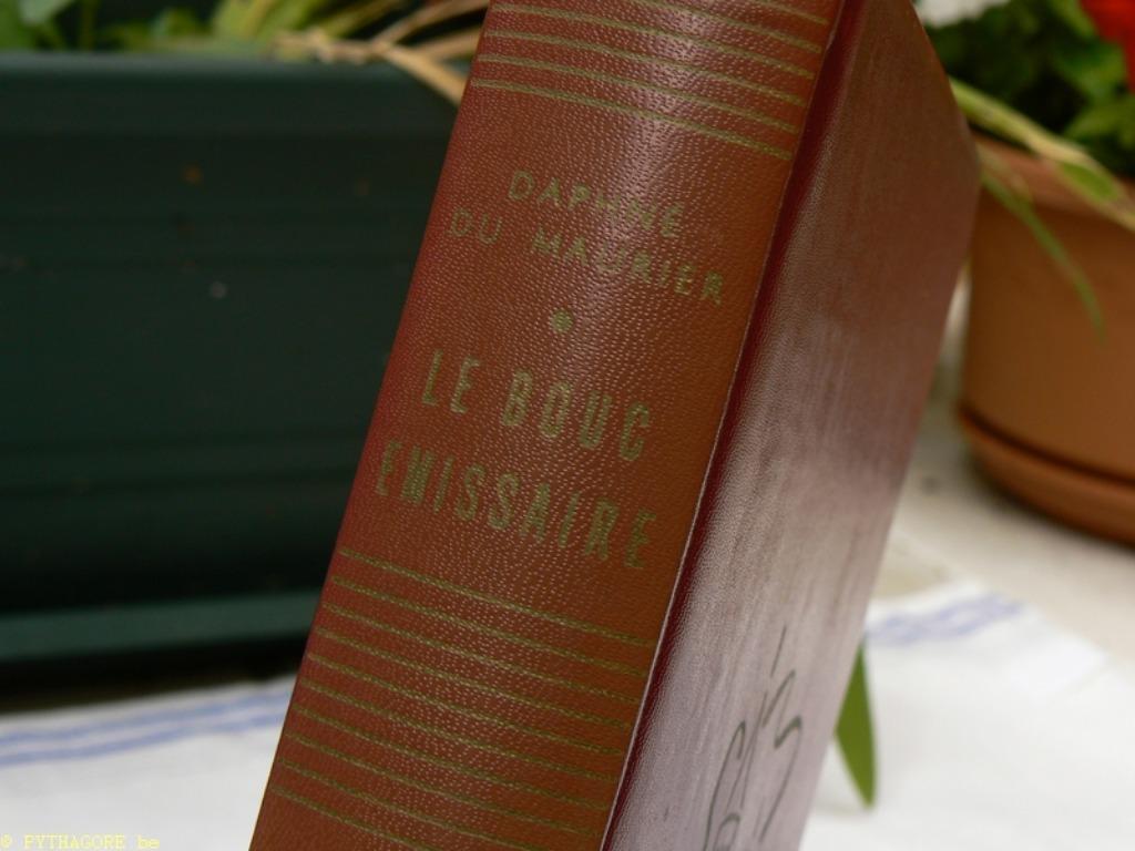 LIVRE RELIÉ CUIR Daphné du Maurier Le Bouc émissaire (dos dé, Livres, Romans, Comme neuf, Belgique, Enlèvement