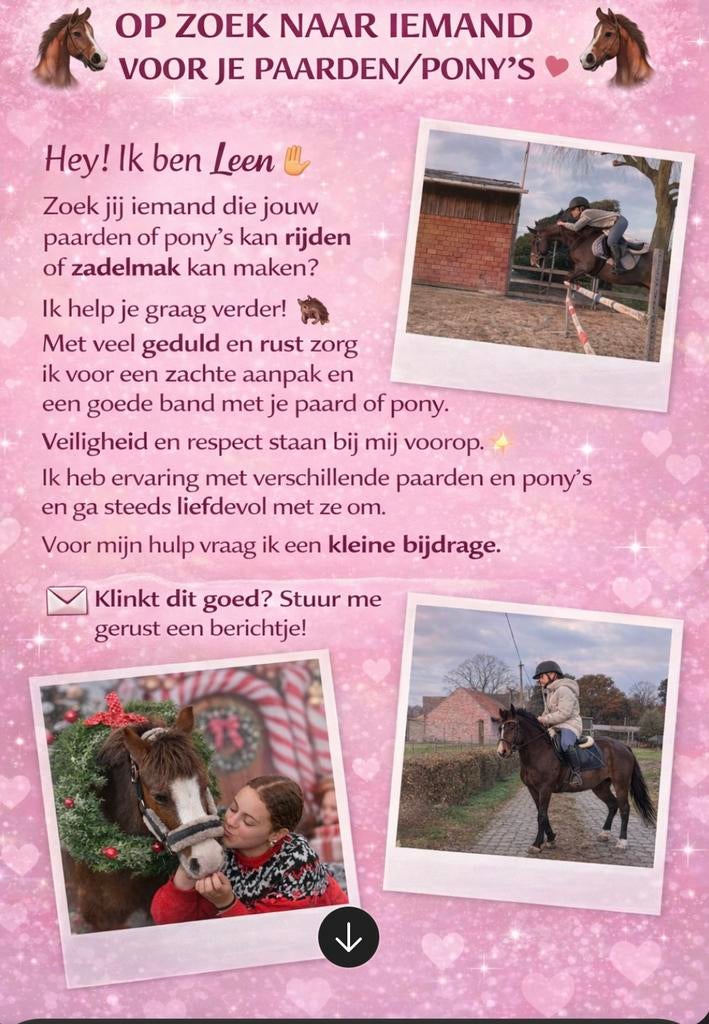 Paarden/ponys doorrijden/ zadelmak maken, Ophalen of Verzenden, Zo goed als nieuw