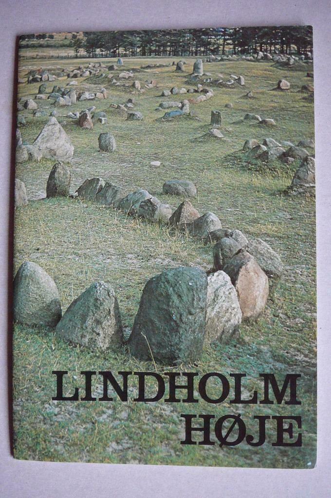 Lindholm Høje Denemarken, Boeken, Reisgidsen, Gelezen, Reisgids of -boek, Europa, Overige merken, Verzenden