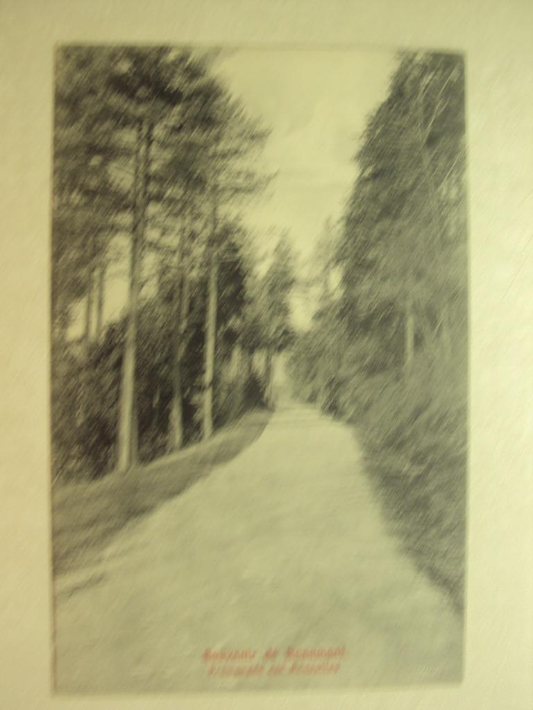 49503 - SOUVENIR DE BEAUMONT - PROMENADE DES ROQUETTES, Collections, Enlèvement ou Envoi