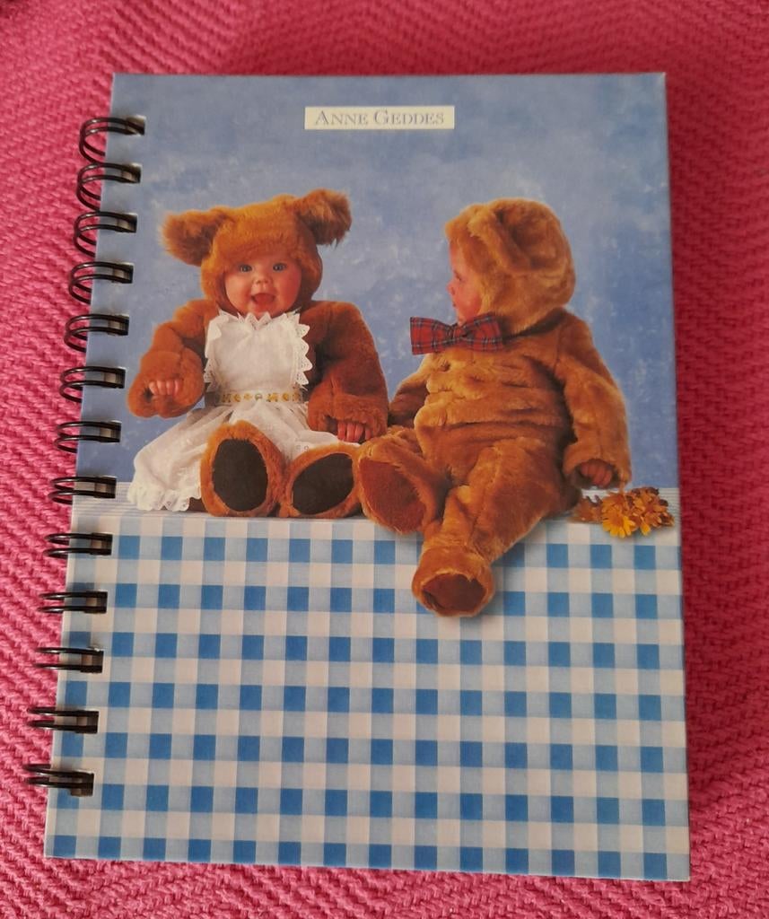 Anne Geddes klein notitieboek, Ophalen of Verzenden, Nieuw