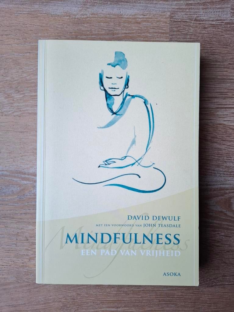 Boek Mindfulness - David Dewulf, Boeken, Ophalen of Verzenden, Zo goed als nieuw, David Dewulf