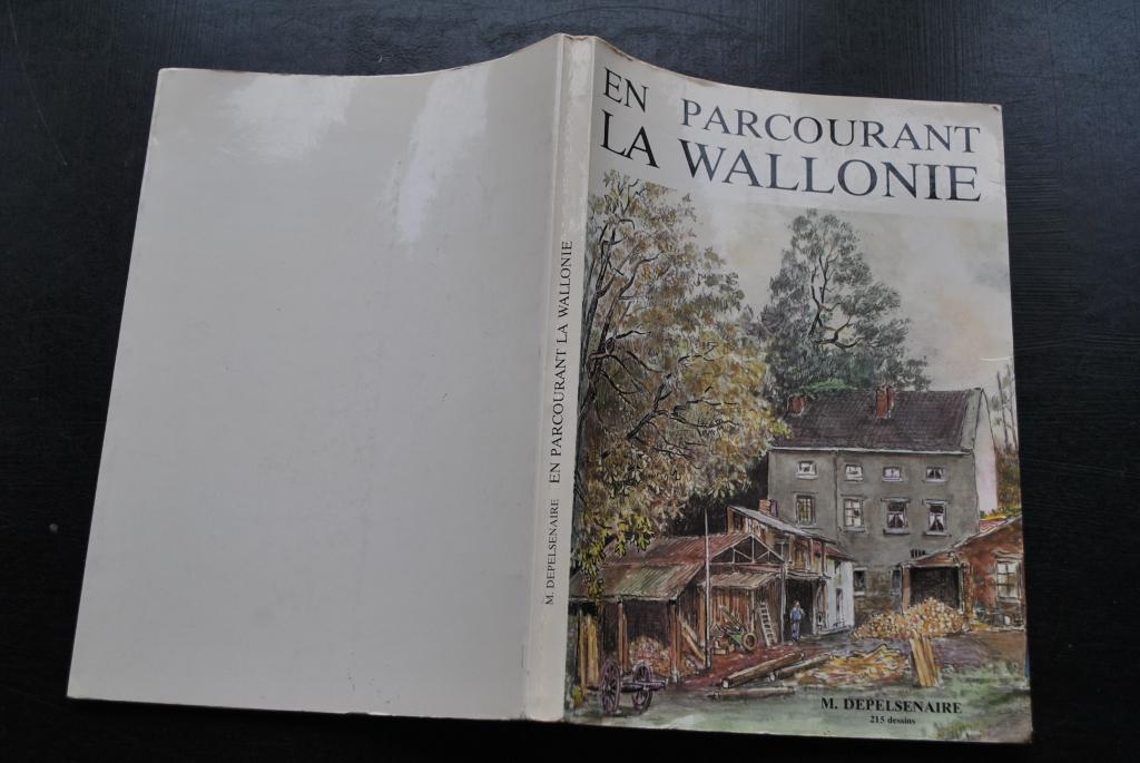 DEPELSENAIRE EN PARCOURANT LA WALLONIE 215 dessins RARE, Enlèvement ou Envoi, Utilisé, 20e siècle ou après, DEPELSENAIRE