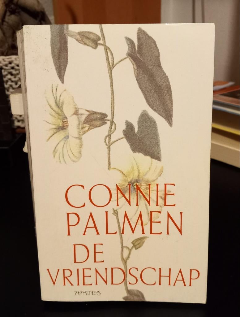 Connie Palmen - De vriendschap, Boeken, Literatuur, Zo goed als nieuw, Ophalen of Verzenden