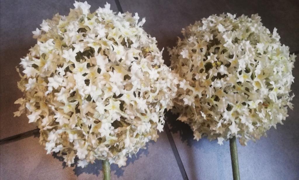 2 tiges Allium blanc 105 cm, Ophalen, Gebruikt