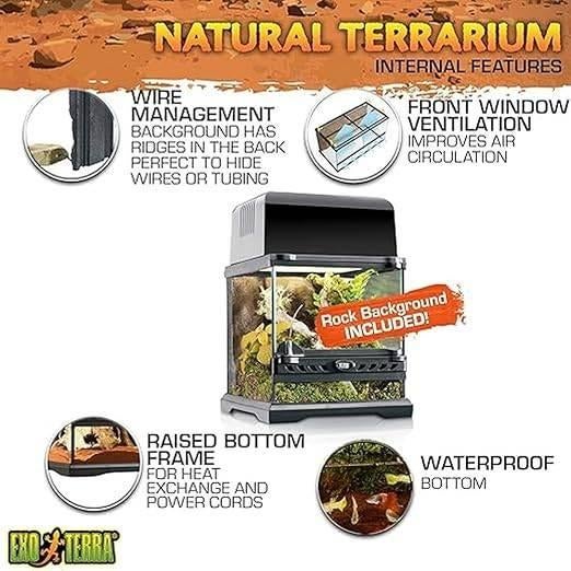 terrarium van glas | GRATIS LEVERING, Dieren en Toebehoren, -, Verzenden, -, Nieuw
