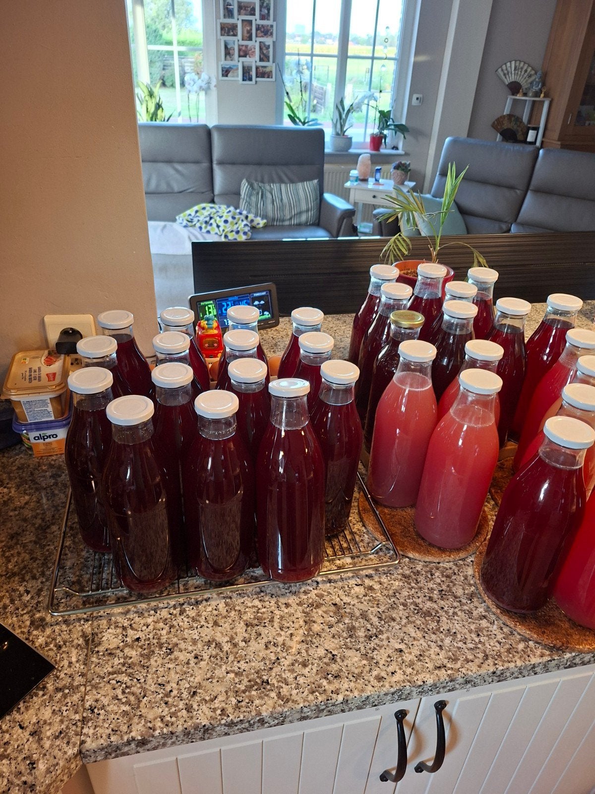 druivensap in 1l sapflessen, Diversen, Levensmiddelen, Ophalen