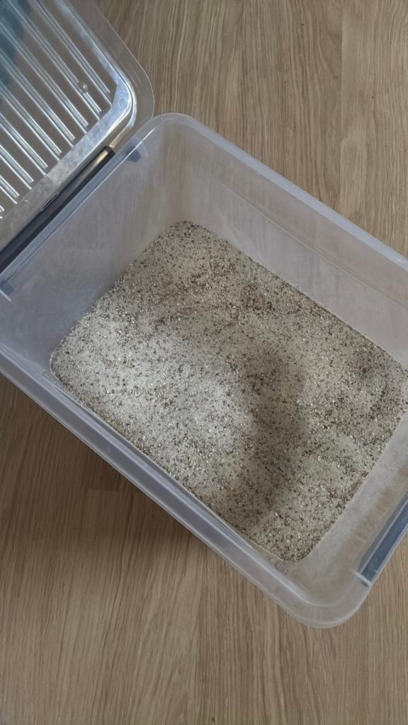 Vogelzand 3x5kg, Ophalen, Nieuw, Zand en Verzorging
