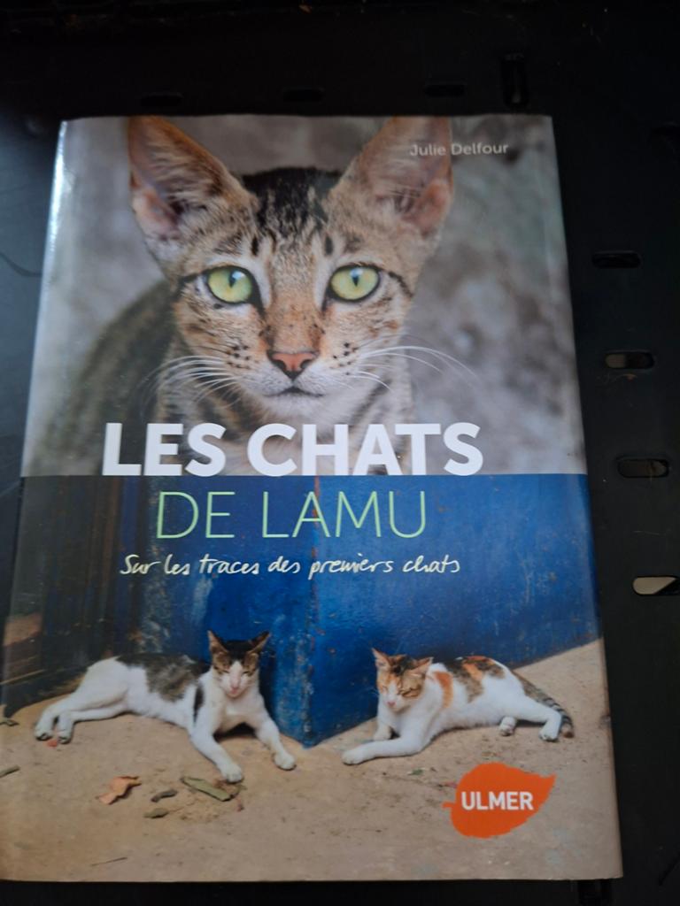 Livre sur les chats, Enlèvement, Chats