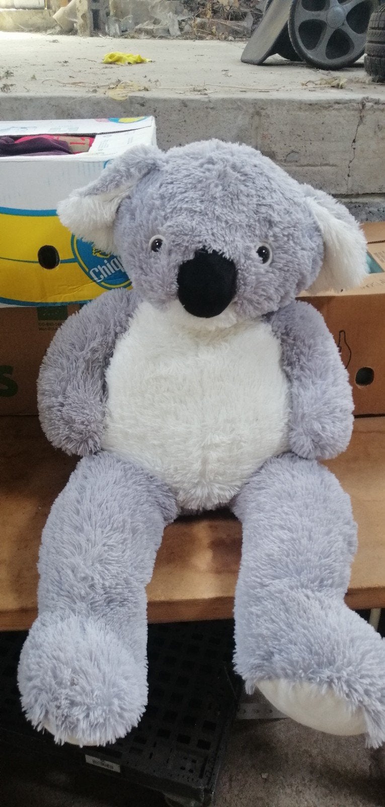 Grande peluche 🐨 koala, Enlèvement