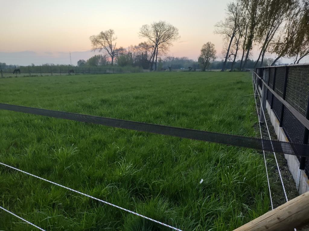 Landbouwgrond te huur, Dieren en Toebehoren, Stalling en Weidegang