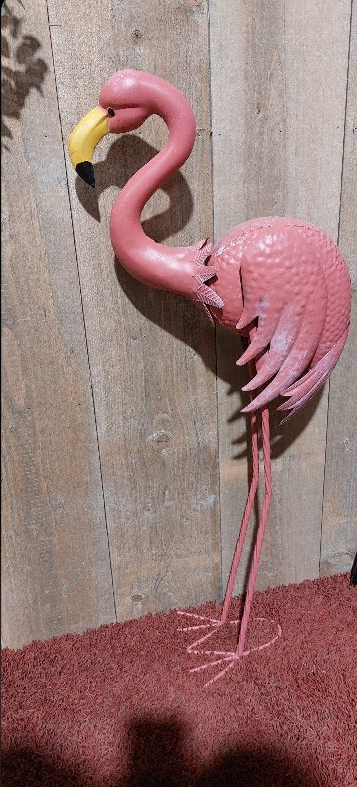 flamingo, Tuin en Terras, Ophalen
