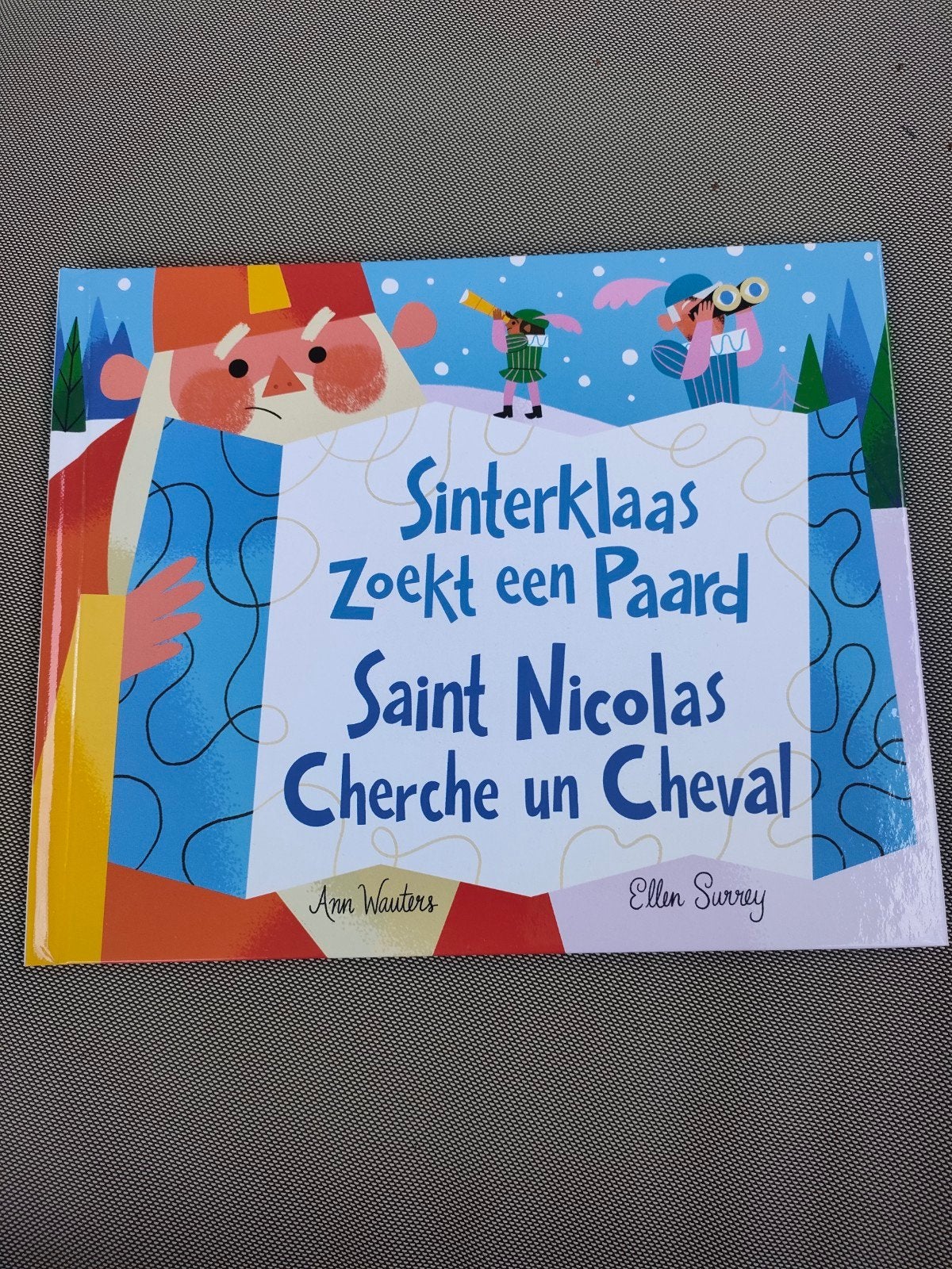 Sinterklaas zoekt een paard, Boeken, Ophalen of Verzenden