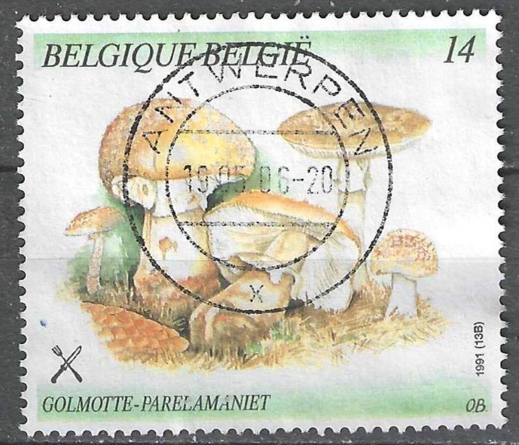 Belgique 1991 - Yvert/OBP 2419 - Nature - Champignons (ST), Envoi, Affranchi, Oblitéré