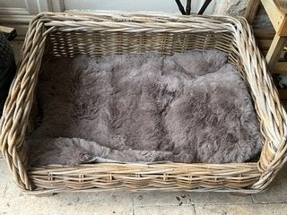 dierenmand, Animaux & Accessoires, Enlèvement, Comme neuf, Roseau