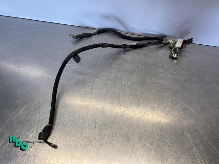 Borne de batterie d'un Citroen C4 Cactus (C4 Cactus 14-), -, 3 mois de garantie, Utilisé, -