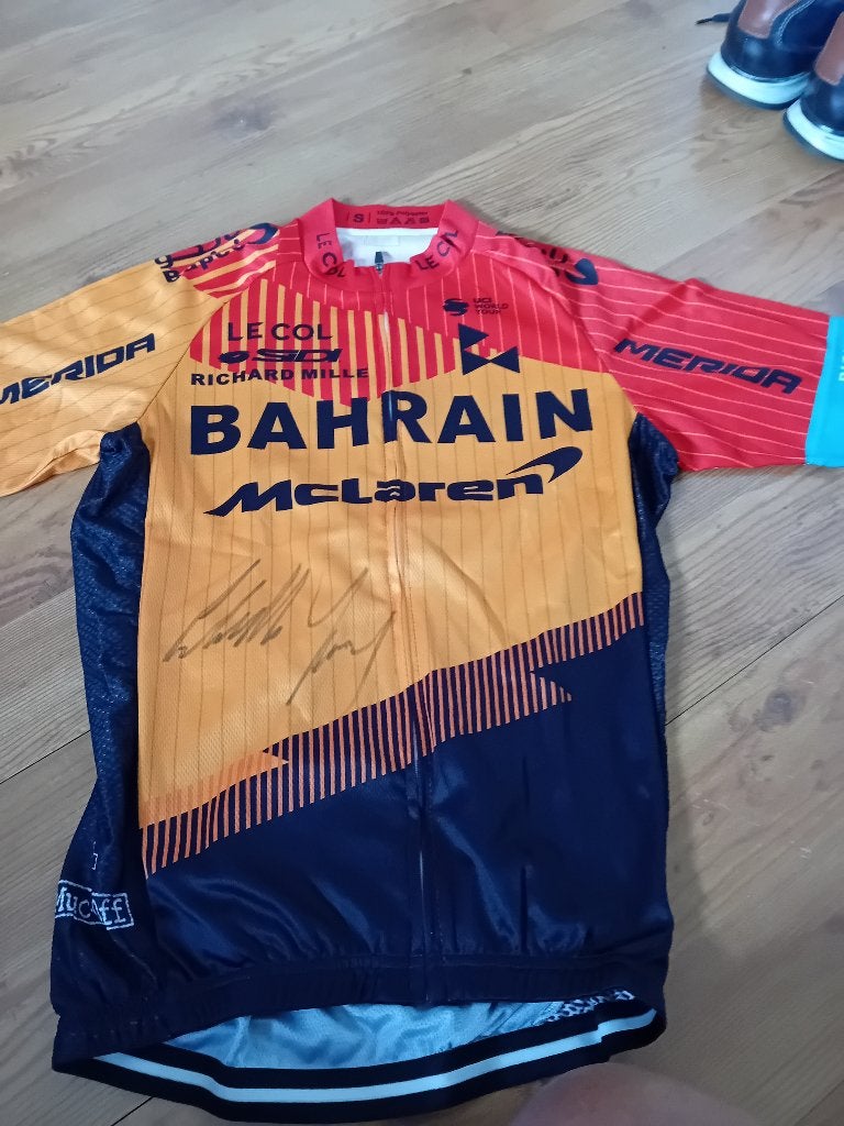wielershirt BAHRAIN (Sonny Colbrelli), Ophalen of Verzenden, Zo goed als nieuw