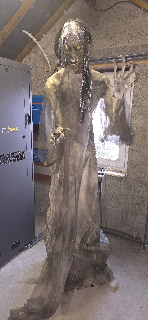 Bewegende Halloween heks met geluid, Ophalen, Gebruikt, Overige typen