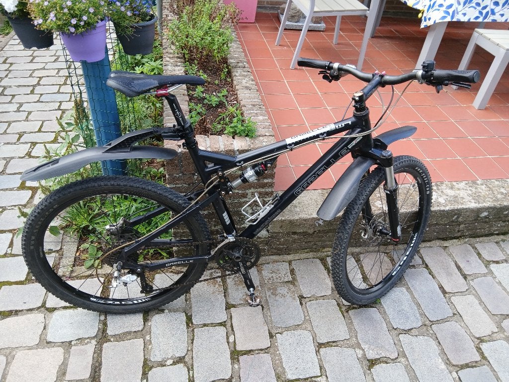 Gazelle jong volwassen fiets, Ophalen, Gebruikt, Versnellingen, 50 tot 53 cm