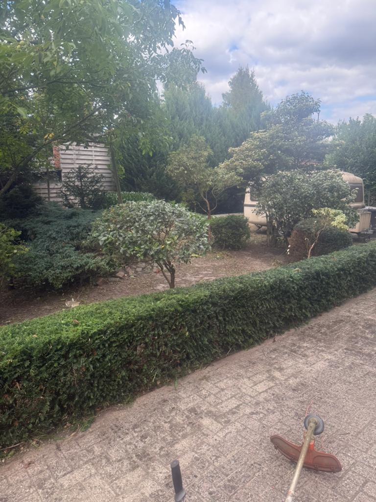 Tuin onderhoud, haage scheren, snoeien, maaien, opkuisen, Ophalen of Verzenden