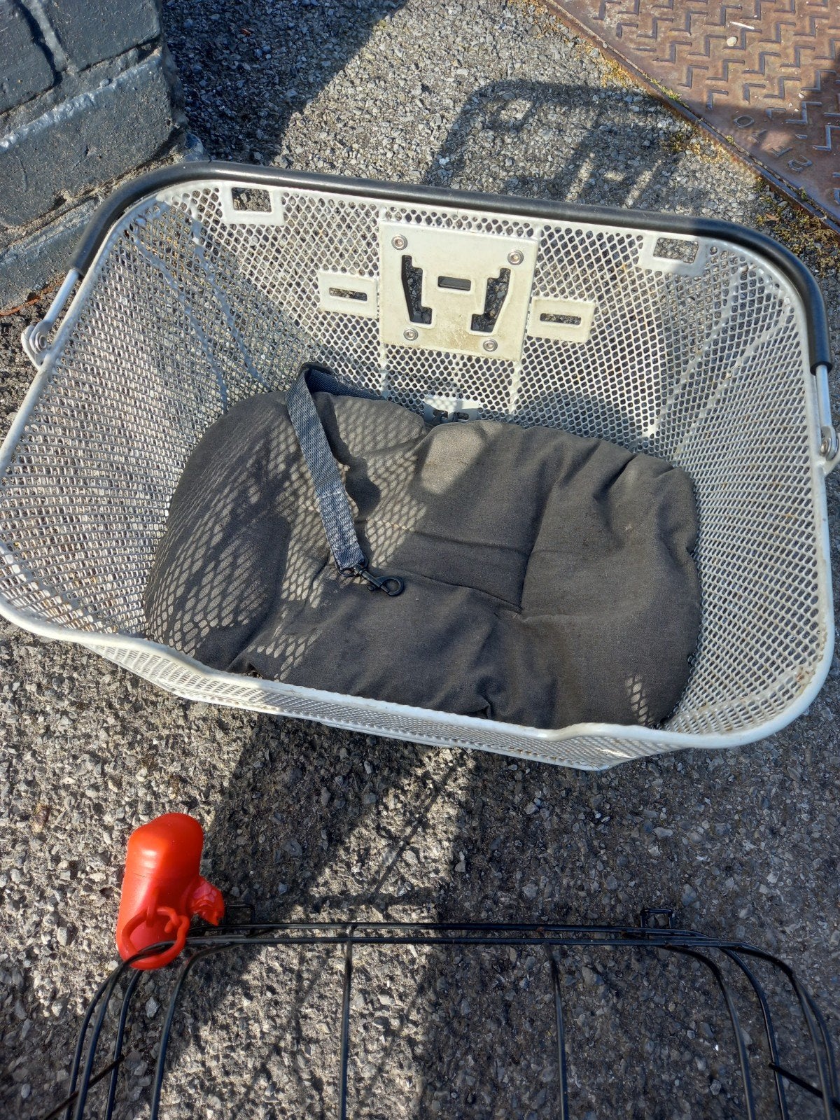 Hondenfiets mand, Enlèvement