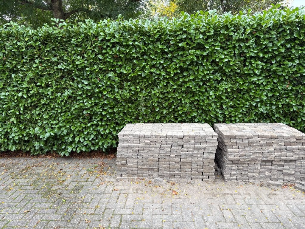 Gratis Klinkers, Enlèvement, Utilisé, 10 m²² ou plus, Briques