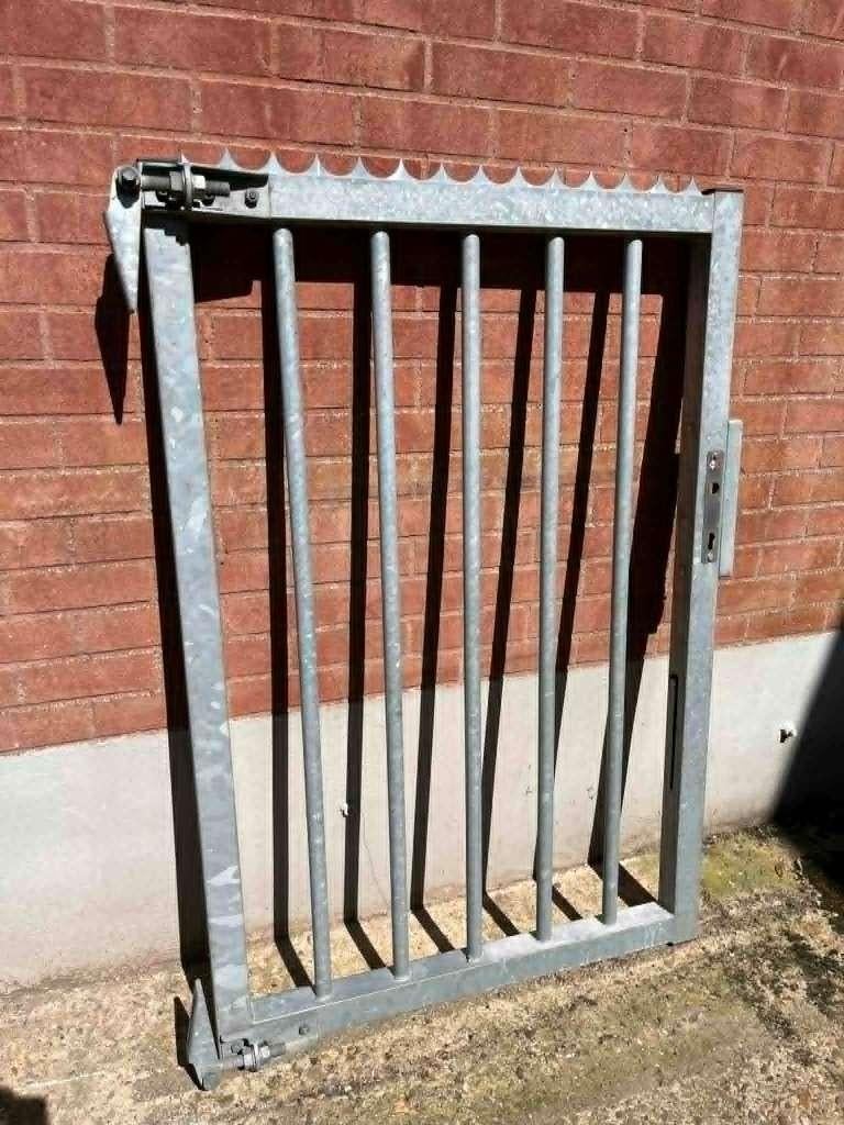 Gegalvaniseerde poort, Tuin en Terras, Ophalen, Nieuw, IJzer, Spijlenhekwerk
