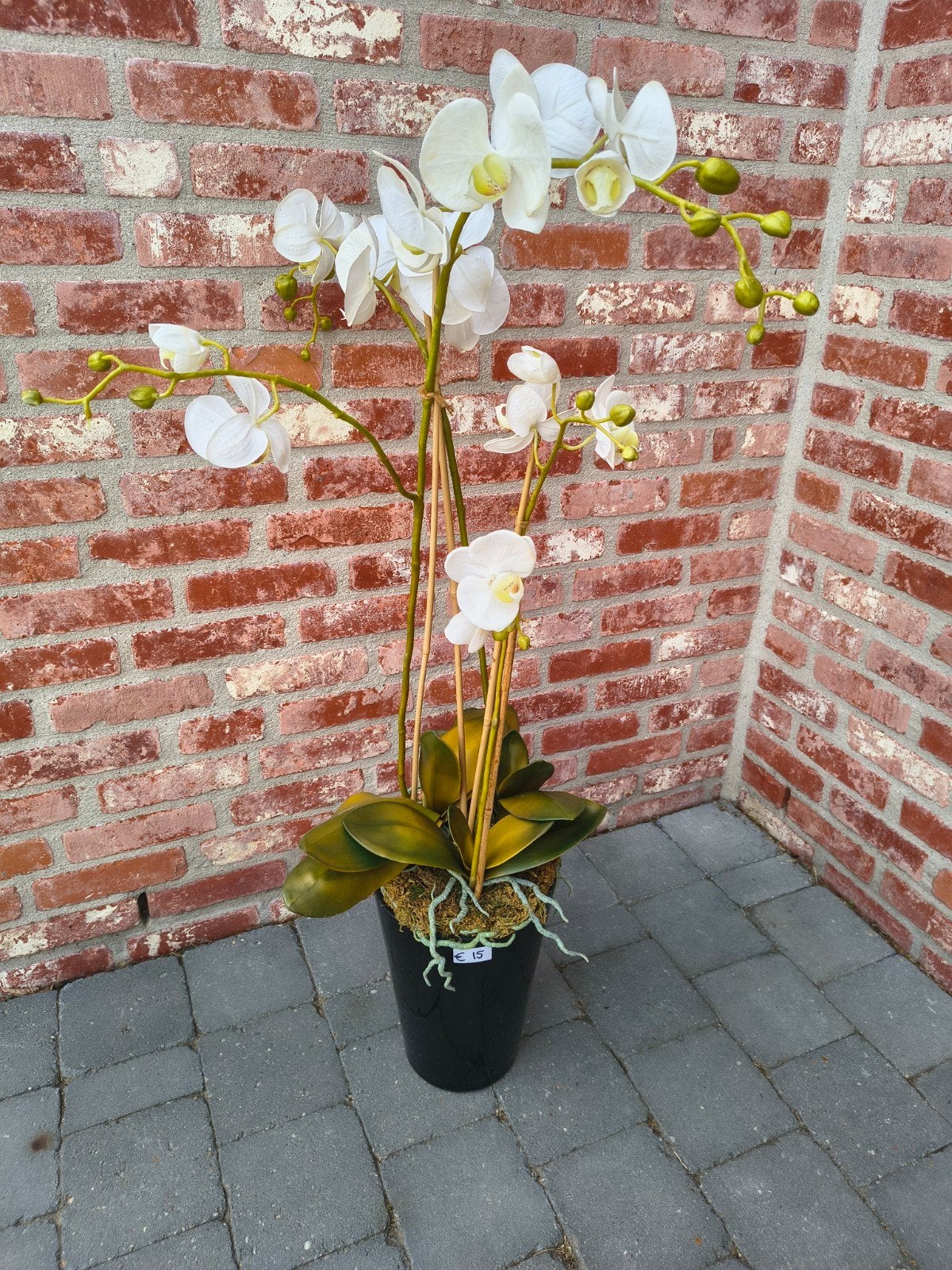 Orchidee (Kunstplant), Enlèvement