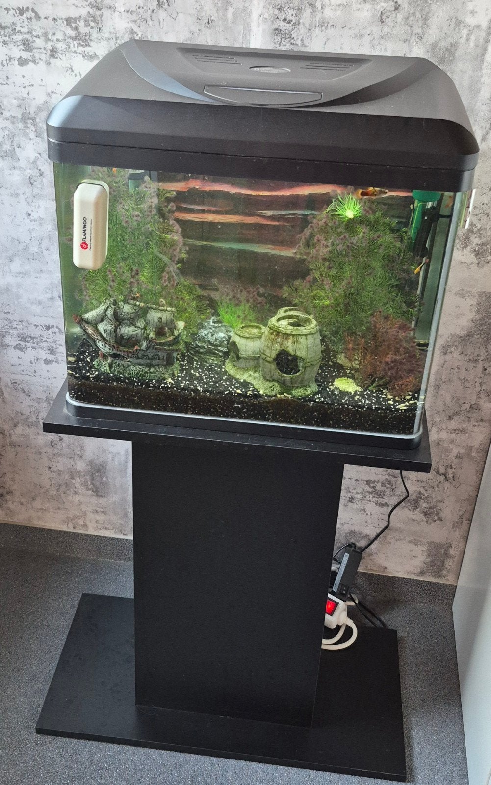 Aquarium, Animaux & Accessoires, Enlèvement