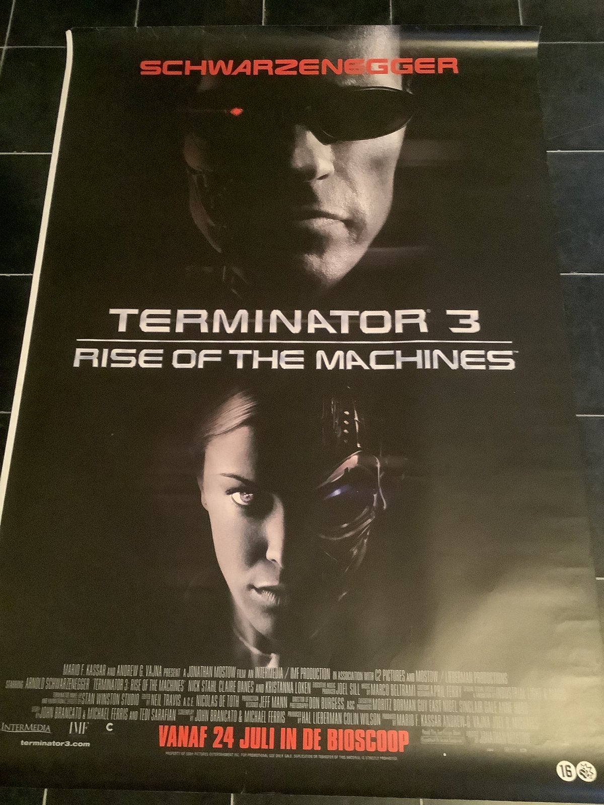 TERMINATOR 3   XL FILMPOSTER   120-160 cm, Ophalen of Verzenden, Zo goed als nieuw