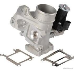 Volvo EGR Klep Volvo S60 S80 S40 C30 C70 V40 V50 V60 V70 XC7, -, -, Nieuw, Ophalen of Verzenden