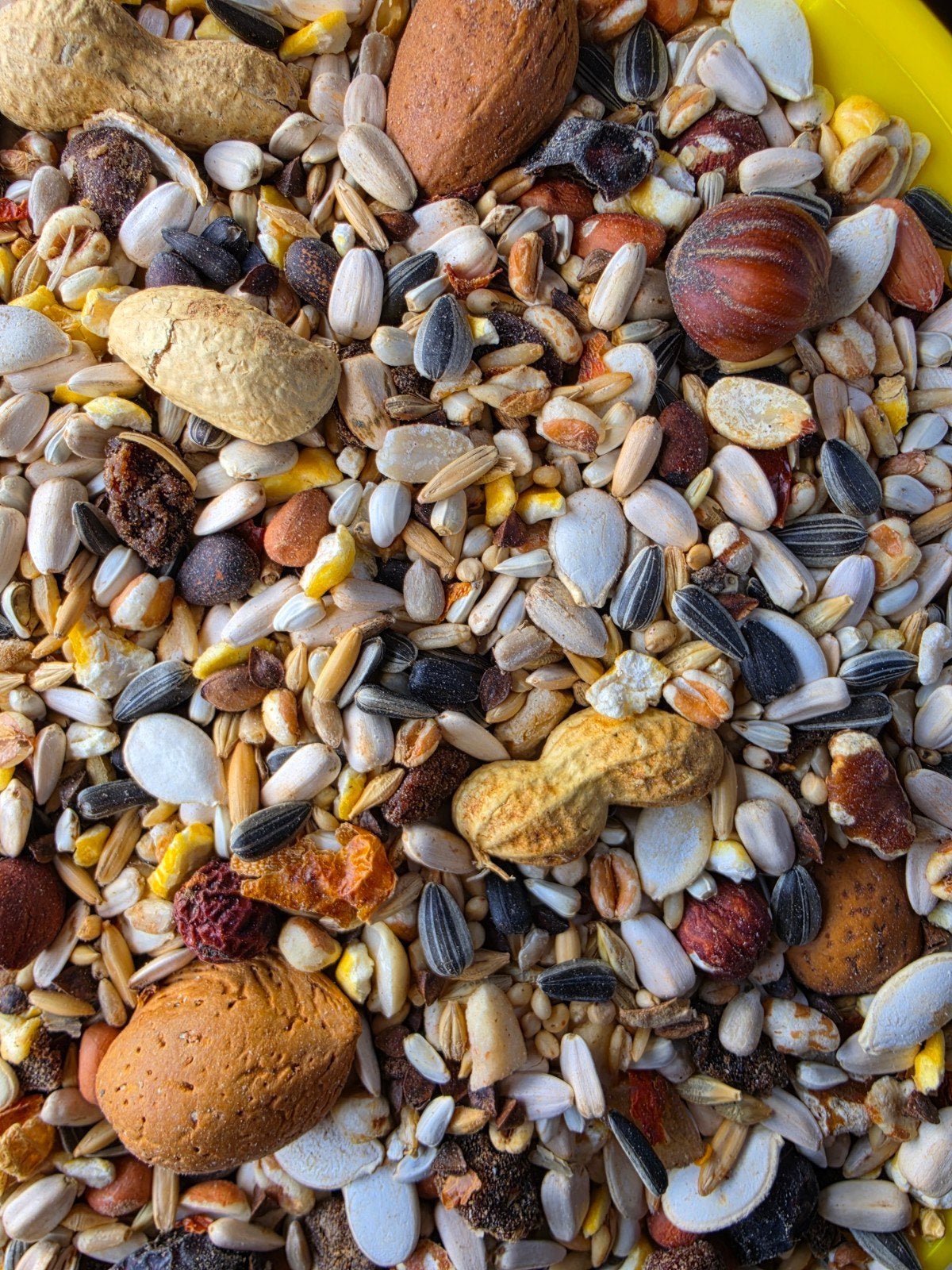Deli Nature 26 Exquisit Nut 1kg - Fruit & Noten - Papegaai, Ophalen