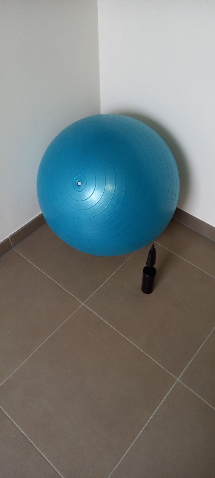 Gymbal met opblaaspomp, Sport en Fitness, Overige Sport en Fitness, Ophalen
