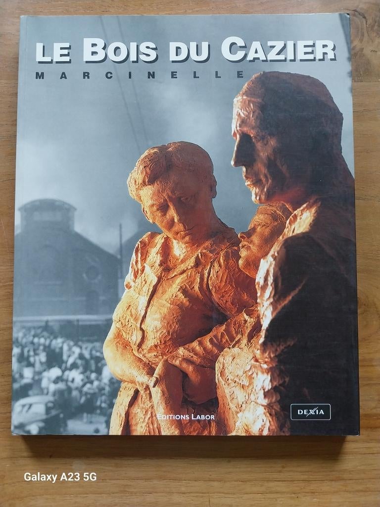 Le Bois du Cazier - Marcinelle, Enlèvement ou Envoi, Comme neuf, Jean-Louis Delaet, Alain Forti, Francis Groff