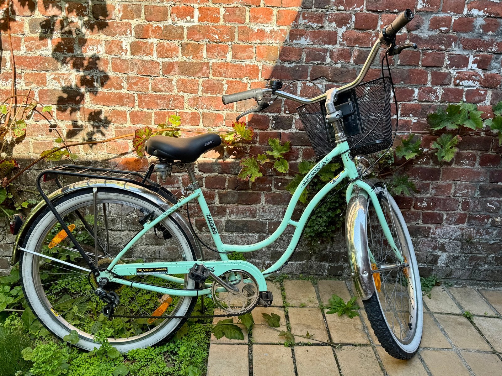 Cruiser damesfiets, Vitesses, Frein sur jante, 26 pouces ou plus, Enlèvement