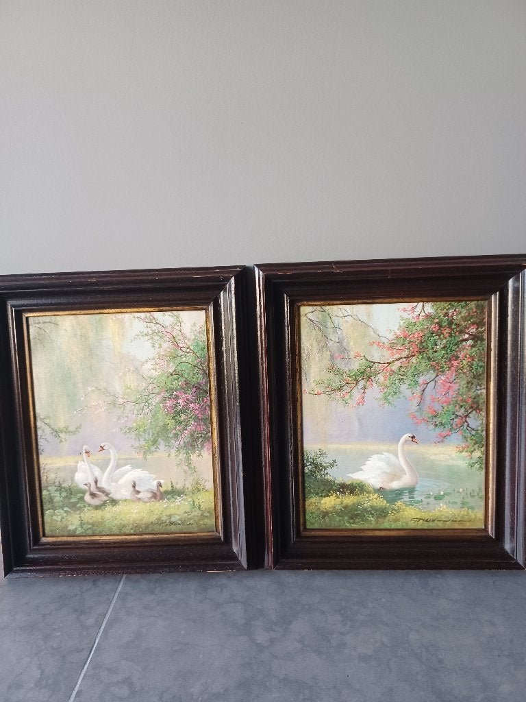 4 schilderijen van zwanen, Peinture à l'huile, Enlèvement, Signé, Animaux