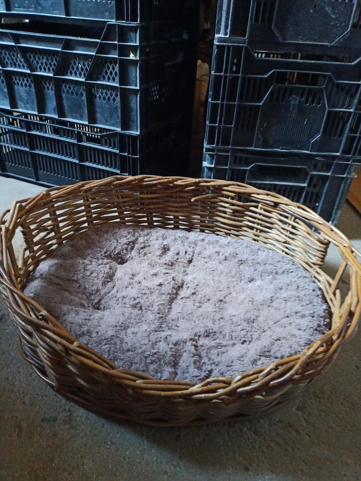Hondenmand, Dieren en Toebehoren, Ophalen, Riet